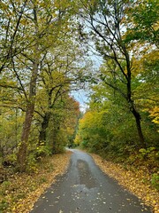 Obraz premium Nature