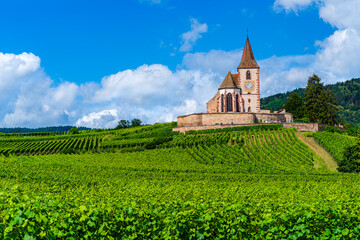 Hunawihr, Alsace, France: Hilltop fortified church surrounded by vineyard fields in the Alsace wine route area