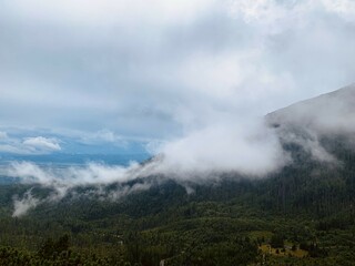 Mist-covered mountain landscape with a lush green forest below. Low clouds drift over the slopes, creating a serene and mysterious atmosphere, highlighting nature's untouched beauty.