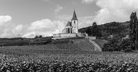 Hunawihr, Alsace, France: Hilltop fortified church surrounded by vineyard fields in the Alsace wine route area