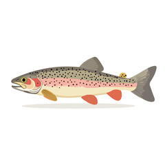 brown trout fish vector illustration