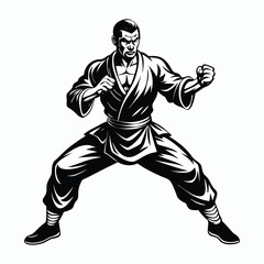 kung fu man on white background