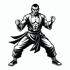 kung fu man on white background