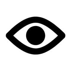 Eye Icon