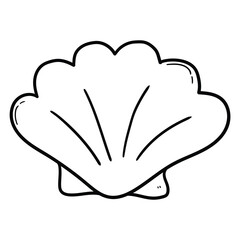 Hand drawn doodle mollusk shell on white background.