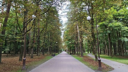 Obraz premium In the city park, a concrete tiled walkway winds past maple, lime and chestnut trees. Next to the path are lampposts, wooden benches and grassy lawns. Cloudy summer weather and gray sky