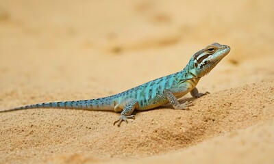 Close-up of a horned lizard walking on desert sand, curiously looking at the camera, vibrant colors, bright, photorealistic