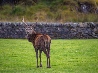 Travelling around the NC500 route in the North Coast of Scotland