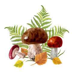 Mushrooms and leaves watercolor composition