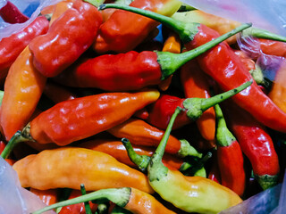 Fresh chili peppers that have just been picked and still have stalks.