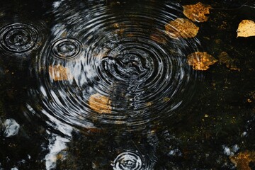 Rainy day background. Raindrops creating circular patterns on the water's surface