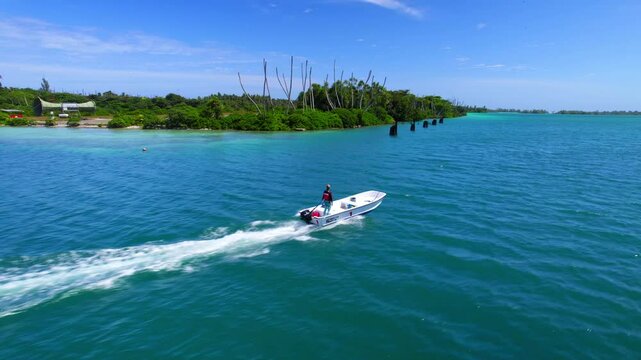 Aerial drone shot chasing a small speed boat driven by an woman across Palmyra lagoon