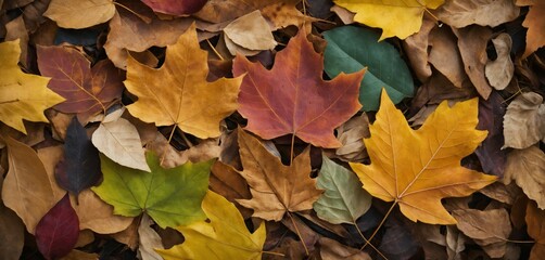 Textured Colorful Mix of Leaves