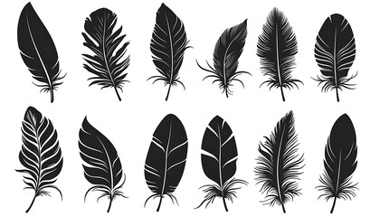 Set of black silhouette logos of bird feathers.