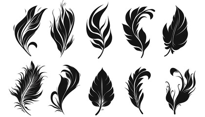 Set of black silhouette logos of bird feathers.