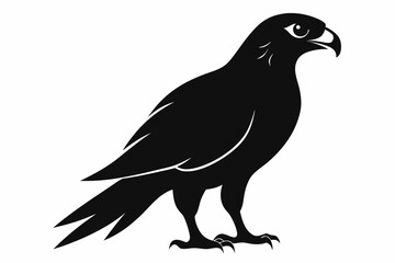 Falcon Silhouette, Falcon Bird Vector, Falcon Black Silhouette Vector isolated on a white background