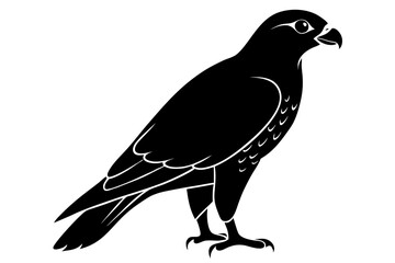 Falcon Silhouette, Falcon Bird Vector, Falcon Black Silhouette Vector isolated on a white background