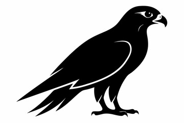 Falcon Silhouette, Falcon Bird Vector, Falcon Black Silhouette Vector isolated on a white background