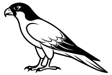 Falcon Silhouette, Falcon Bird Vector, Falcon Black Silhouette Vector isolated on a white background