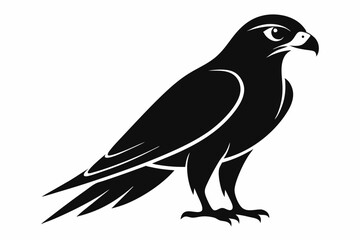 Falcon Silhouette, Falcon Bird Vector, Falcon Black Silhouette Vector isolated on a white background