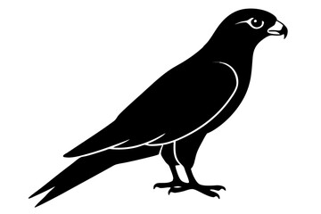 Falcon Silhouette, Falcon Bird Vector, Falcon Black Silhouette Vector isolated on a white background