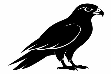 Falcon Silhouette, Falcon Bird Vector, Falcon Black Silhouette Vector isolated on a white background