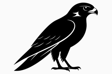Falcon Silhouette, Falcon Bird Vector, Falcon Black Silhouette Vector isolated on a white background
