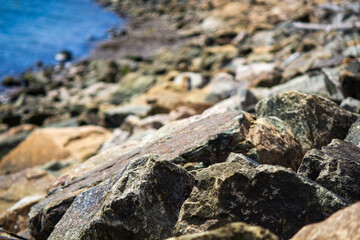 Rocky Shoreline with Ocean in Background
