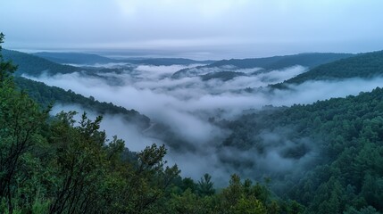 Obraz premium Misty Fog Over Mountainous Landscape