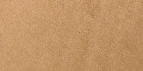 Horizontal beige textured blank brown paper background. Vector brown cardboard design.