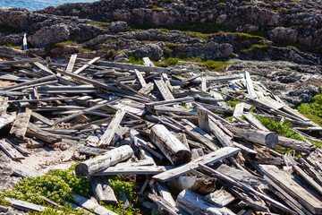 Pile of Weathered Driftwood on Rocky Coastal Landscape