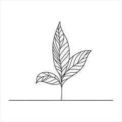 mango leaves line art silhouette on white background