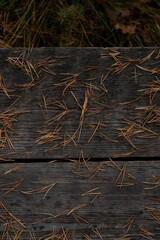 texture of old grey wooden surface and brown fallen needles in autumn
