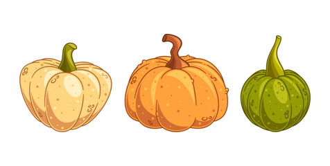 Three Pumpkins In Varied Colors Perfect For Autumn Theme. Each Pumpkin Boasts Distinct Textures And Shades