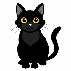 black-cat-white-background