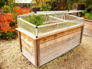 garden raised wooden bed with greenhouse