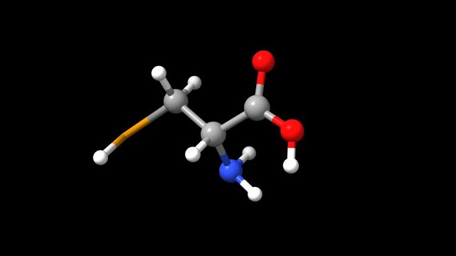 Structure of the amino acid DL-selenocysteine. Animated 3D ball-and-stick and space-filled models, black background.