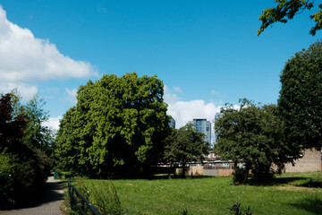 Newcastle UK: 8th June 2024: Flats residential tower blocks Elswick, Cruddas Park near scotswood on a sunny blue sky day