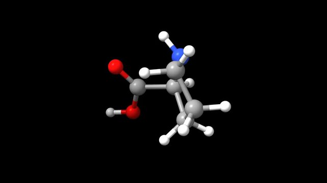 Structure of the amino acid DL-proline. Animated 3D ball-and-stick and space-filled models, black background.