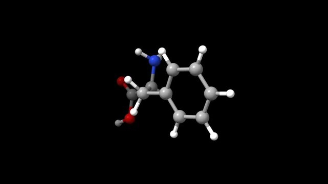 Structure of the amino acid DL-phenylalanine. Animated 3D ball-and-stick and space-filled models, black background.