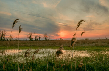 Zach&oacute;d słońca nad rzeką Nidą