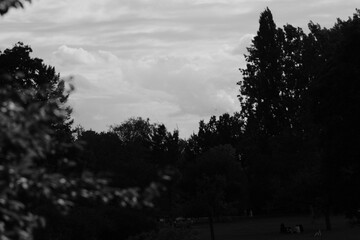 clouds and trees