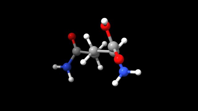 Structure of the amino acid DL-glutamine. Animated 3D ball-and-stick and space-filled models, black background.