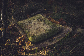herbst