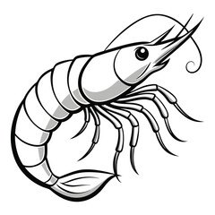  prawn vector white background
