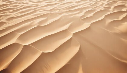 Desert Sand Dunes Texture:  A close-up shot reveals the intricate patterns of rippling sand dunes, bathed in the warm light of the sun. The image showcases the textural beauty of the desert landscape.