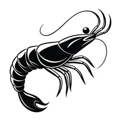  prawn vector white background