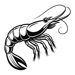  prawn vector white background
