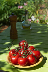 Red tomatoes Table Terrace Plants