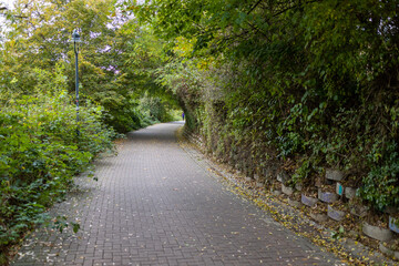 Dirt road through the autumn forest, view on an October day